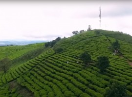 Việt Nam tươi đẹp | Khám phá cảnh đẹp Việt Nam